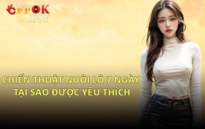 Chiến Thuật Nuôi Lô 7 Ngày Tại Sao Được Yêu Thích